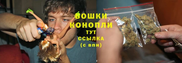 гидра Горнозаводск