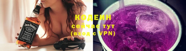 гидра Горнозаводск