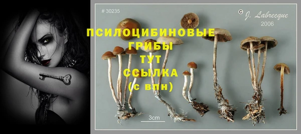 мяу мяу кристалл Гусь-Хрустальный