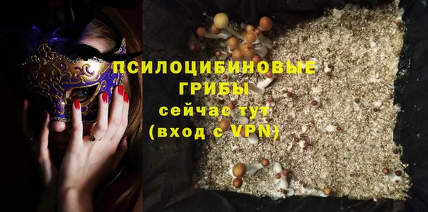 гидра Горнозаводск