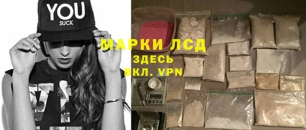гидра Горнозаводск